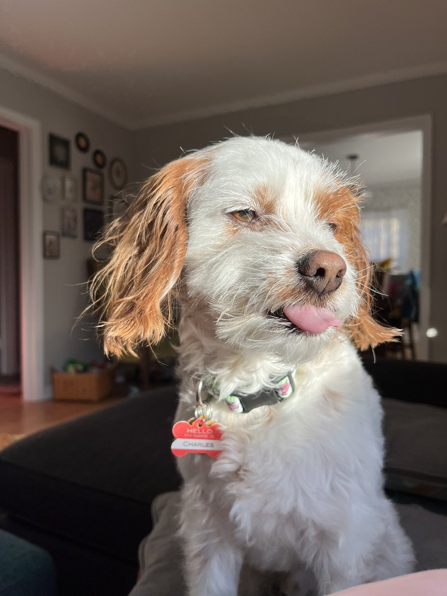 lauren☻ tweet media