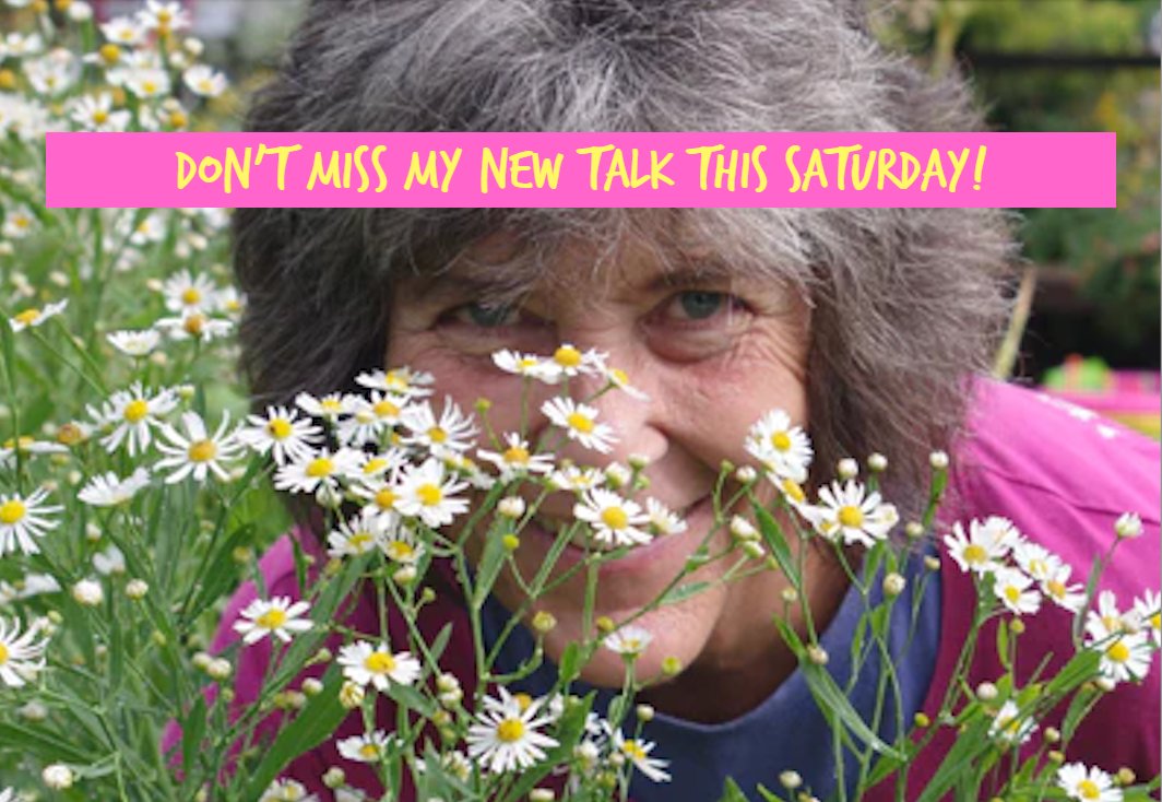Natureworks Garden Center & Landscaping tweet media
