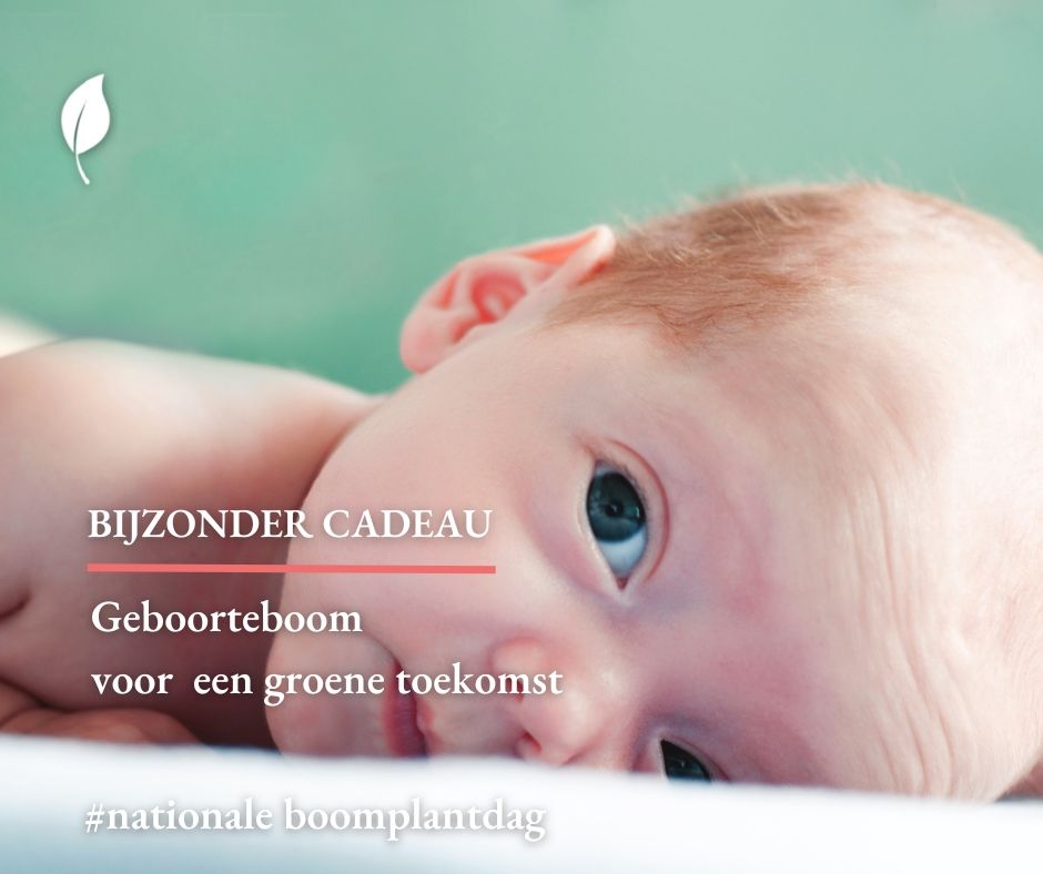 Zo bijzonder: morgen 15 maart is het Boomfeestdag. Je kunt bij de geboorte van een kindje een groene toekomst cadeau doen, door een geboorteboom te planten.

Meer hierover lees je in ons blog online