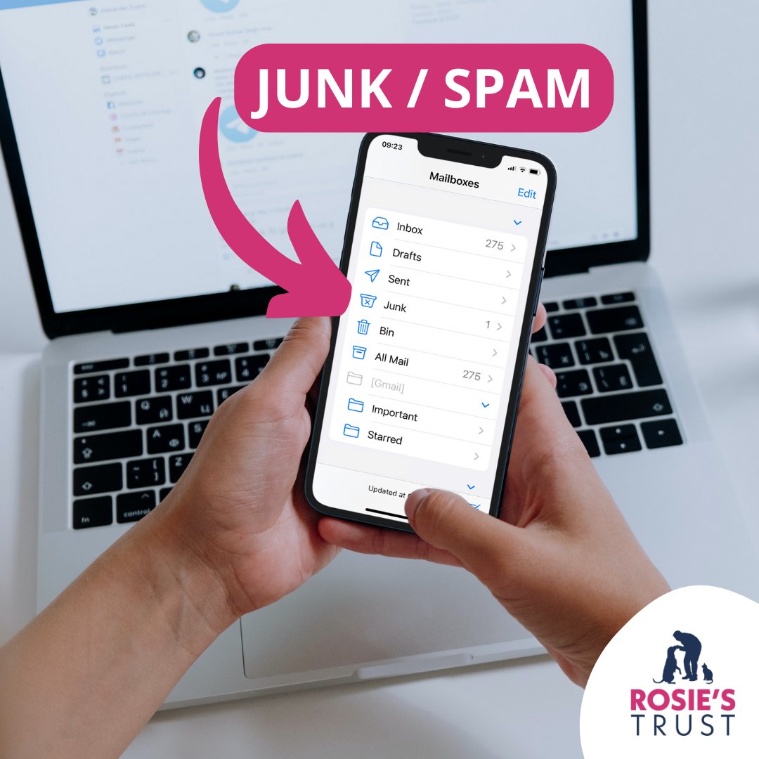 RosiesTrust's tweet photo. If you have applied to be a Rosie's Trust Volunteer please make sure to regularly check your Junk or Spam folder for an email from us 💕
#volunteers #volunteering #teamrosiestrust #teamrt #caninesupport #caninesupportvolunteer https://t.co/rMA3bxSlLe