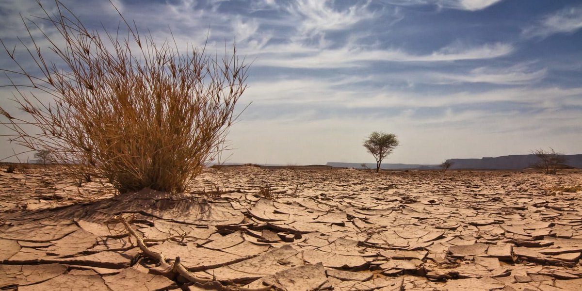 ChrisAndrews170's tweet photo. Help the Earth, Climate change it destroying our planet. What can you to help? https://t.co/3ZmNCeBVIg