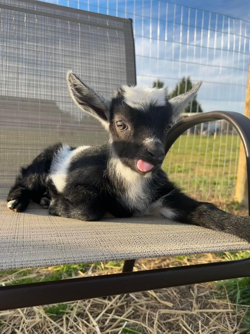 Praying I get this little dude 💗👏🏼 https://t.co/wkVX6vWfJy