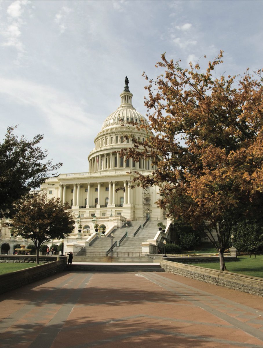 MikeSerzanMD's tweet photo. 🚨KidneyCAN Spring Advocacy Days 🚨

“Decisions are made by those who show up” Jed Bartlet

Patients, clinicians, and researchers across the country are meeting with our elected officials to SHARE OUR STORIES 🗣️ &amp; ADVOCATE 🗳️ for robust Kidney Cancer Research Funding! https://t.co/BlKdp4Nj0t