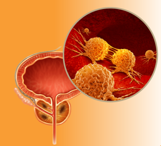 Soricimed Biopharma Inc. tweet media