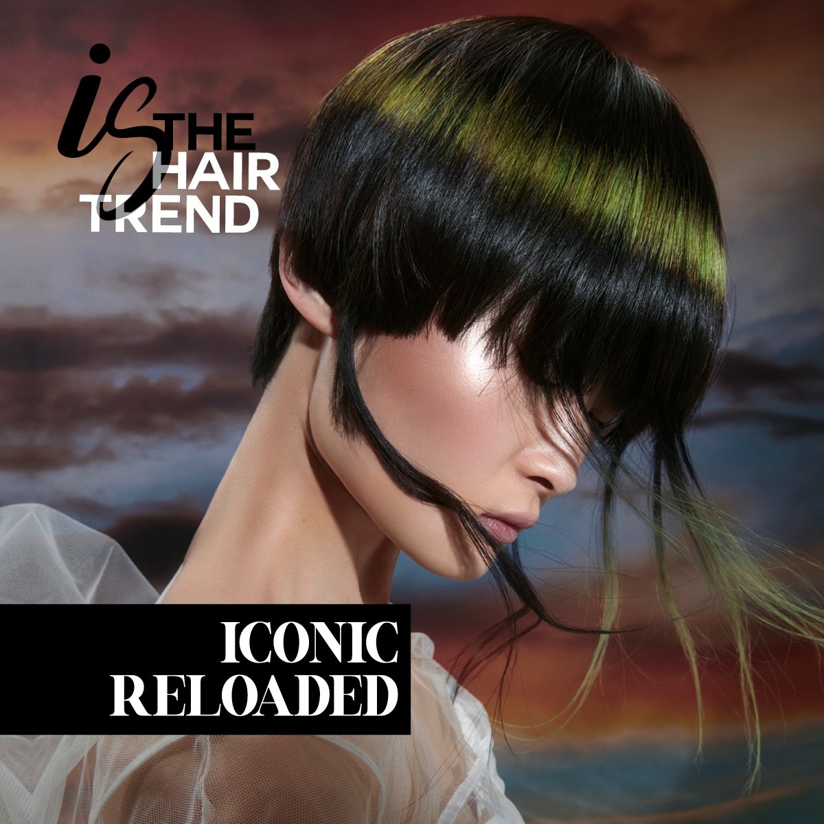 Framesi Official tweet media