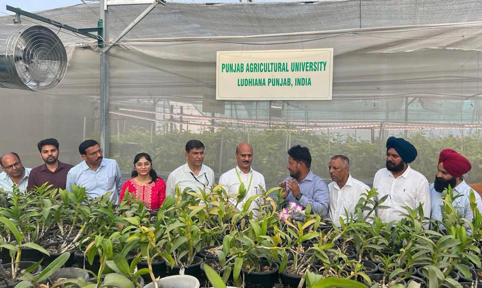 Sensitising dealers to promote Balanced Fertilisation

NFL #Ludhiana Team organised Dealers' Training Program at PAU Ludhiana to share knowledge on Balanced use of Fertilizers & new farm techniques. Field visit was also organised to show the high tech Polyhouse of PAU to dealers.