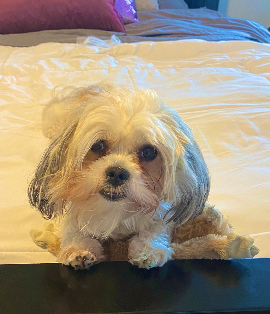 Holly Lehman tweet media