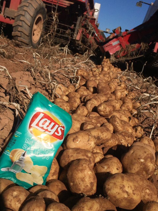 Happy #NationalPotatoChipDay