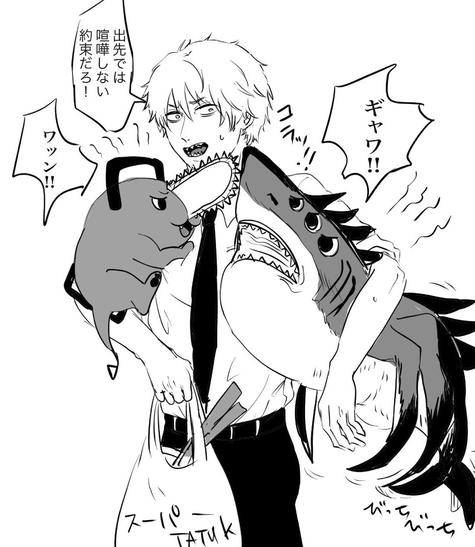 ポチデンとビムデンの幻覚 