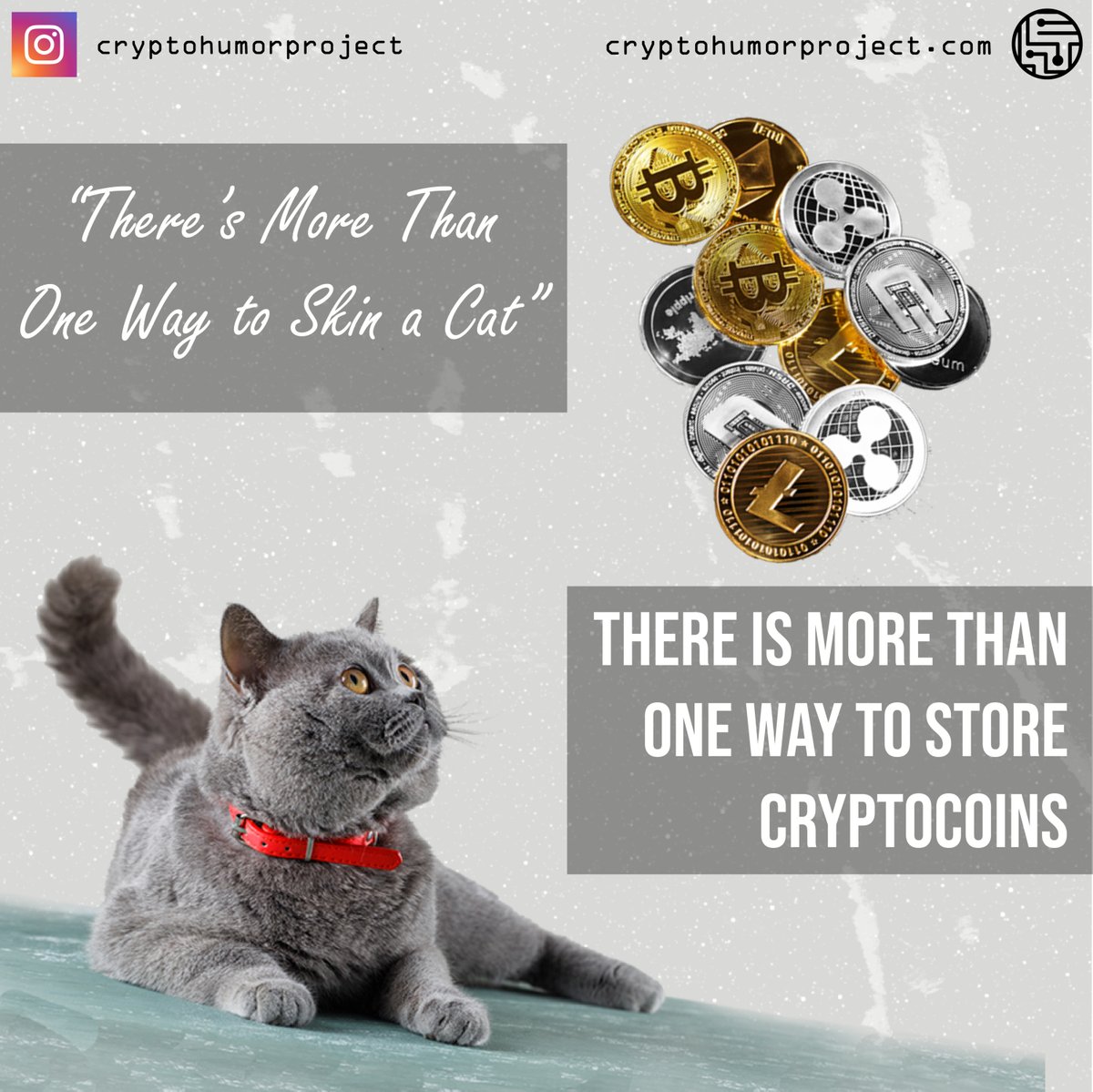 humor_crypto's tweet photo. Various types of wallets can be used to store cryptocurrencies: (a)Software wallet vs. hardware wallet, depending on where the private key is stored; (b)Cold wallets vs. hot wallets, depending on connectivity to Internet. 
#altcoins #cryptocurrencies #bitcoin #ethereum #investing https://t.co/uUaG4WXG9p