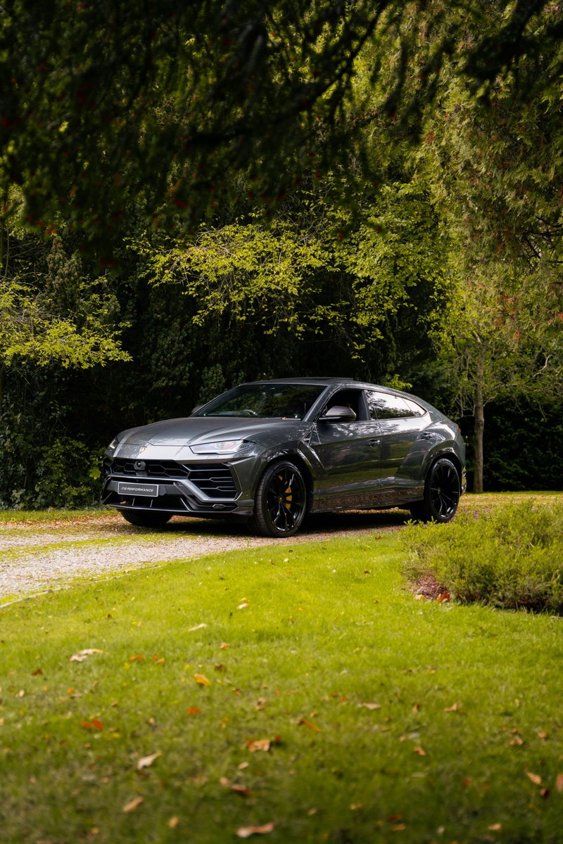 F12 PERFORMANCE tweet media