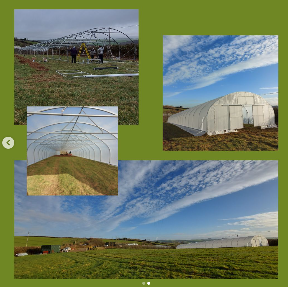 NorthernPolyt's tweet photo. A 'hot' (sorry/not sorry) montage of a Single Span Polytunnel being built

Repost - 
South Devon Chilli Farm
📣Farm Update 📣
🌶There has been a lot of activity on the farm over the past two weeks.
Our new nursery tunnel is complete. https://t.co/kocK7p0PUp