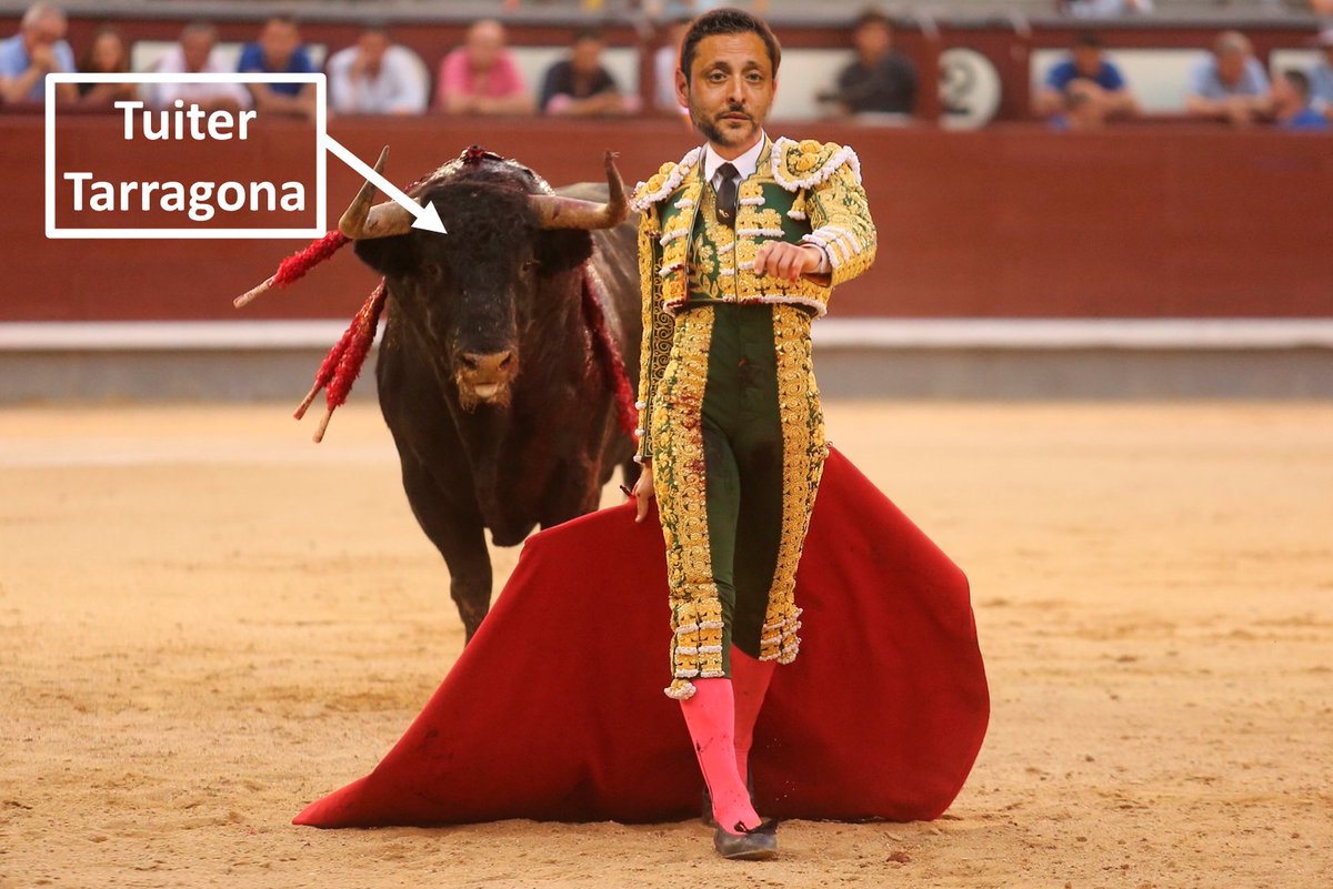 Ballesteros y Viñuales
Toreros Sexuales