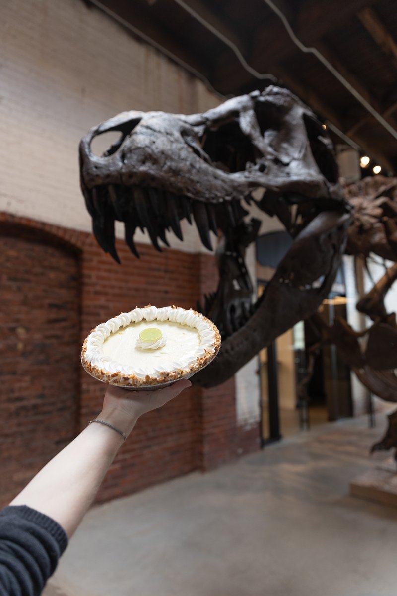 Oops, I fell asleep for 2 years! I guess its pie for breakfast 🥧 #PiDay #piDay2023