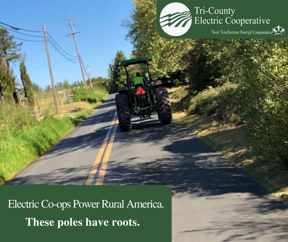 Proudly serving our members for over 80 years, Tri-County Electric's roots run deep. We are built by the communities we serve, and we are the #CooperativeDifference!
