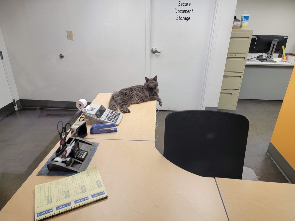 chrisludwig01's tweet photo. Dominant other workers work space! 
#HowToBePopularAtWork https://t.co/KMgII71m28