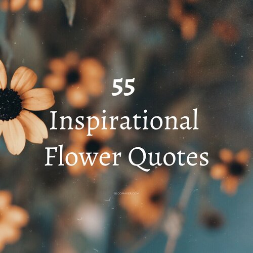 Bloomaker_USA's tweet photo. Looking for a little flower power to brighten your day? Check out these 55 inspiration flower quotes to insire you for the week ahead! 💐🌼🌷

https://t.co/2rCQ55adBM

#PlantLove #HomeDecor #Floral #BloomakerAmaryllis #Bloomaker #Spring #SpringFlowers https://t.co/JFOs7QP7H1