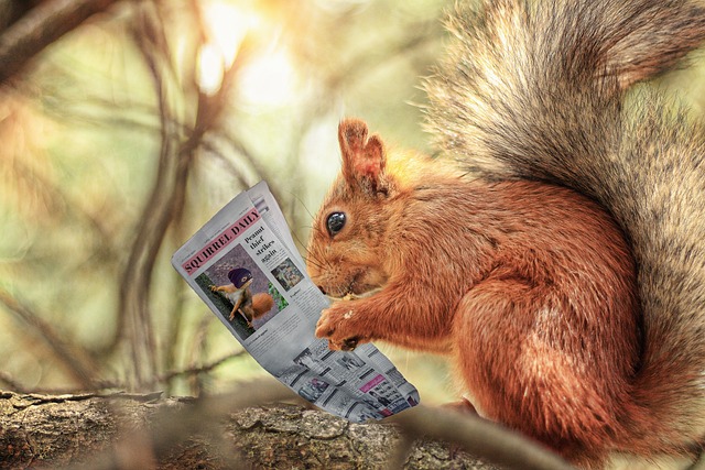 DorsetLibraries's tweet photo. Did you know that anyone with a #Dorsetlibraries membership can access  free digital newspapers online, as well as e-magazines and comics using Libby? 🗞️ 
This includes 166 local, regional and national,  daily and weekend UK titles.😄 
Find out more here,
https://t.co/keapyo9I3E https://t.co/2INbopYe0V