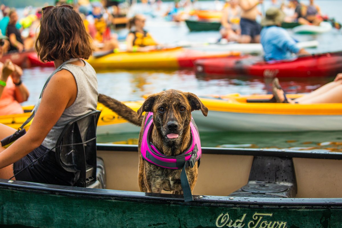 Paddle For Puppies is on May 7th! Be sure to register by clicking the link in our bio.