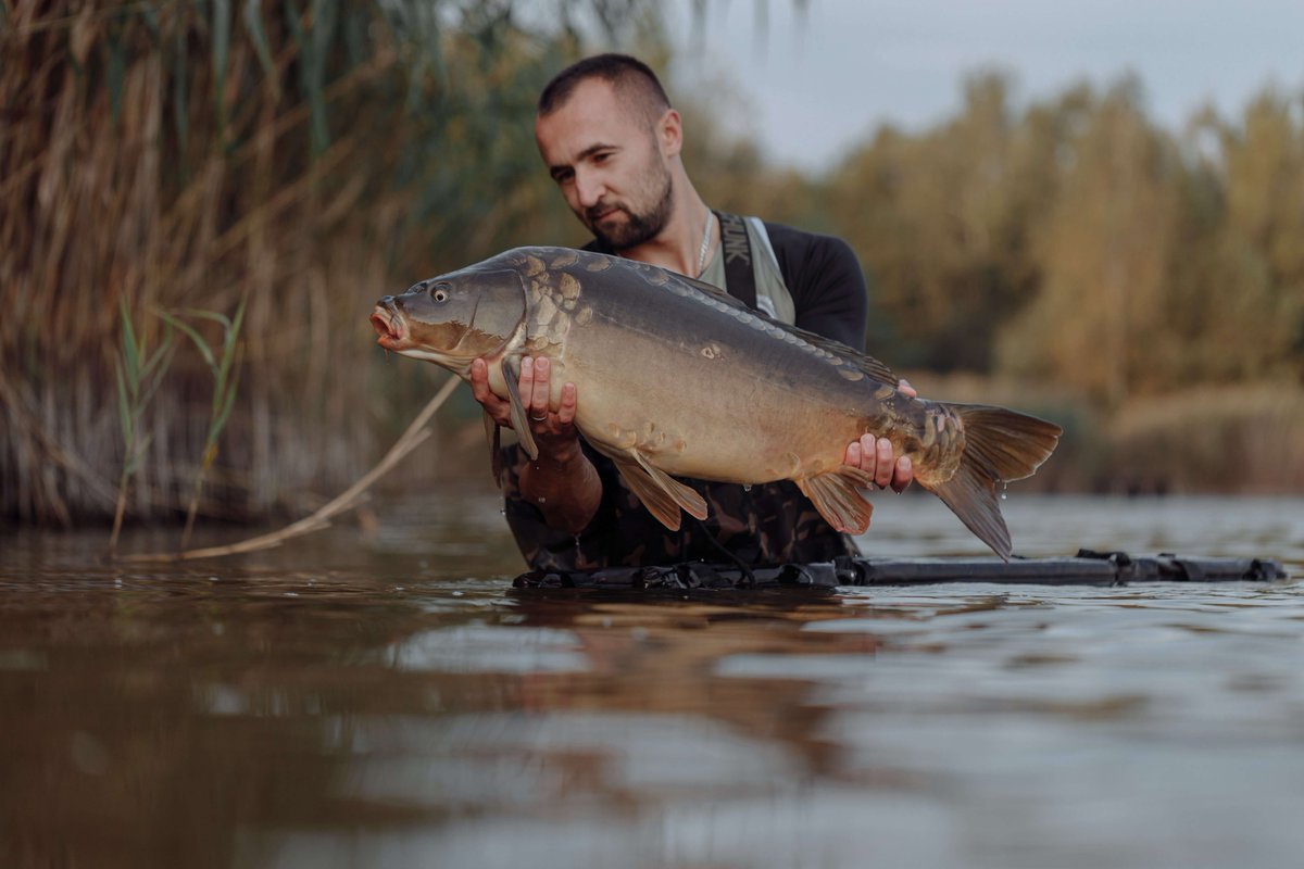 trizilyofficial's tweet photo. Get all the information you need to catch carp at night! In this guide you'll discover how to find carp at night, what baits to use, and how to maximise your chances of catching big.
See more:https://t.co/t5WiaSKj3S https://t.co/58M3Q6BAtf
