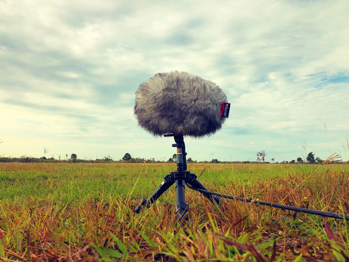 watsonwu's tweet photo. Beautiful cool gray & windy morning so Rycote Cyclone Small is needed 💨🔊👍🏻
.
#soundeffects #watsonwu #sounddesigner #soundeffectsrecordist #microphone #sounddesign #gameaudio #gamesound #audioforgames #filmsound #audiopost #ambience #soundediting #soundeditor #RycoteCyclone https://t.co/6bvz2LF2Kw