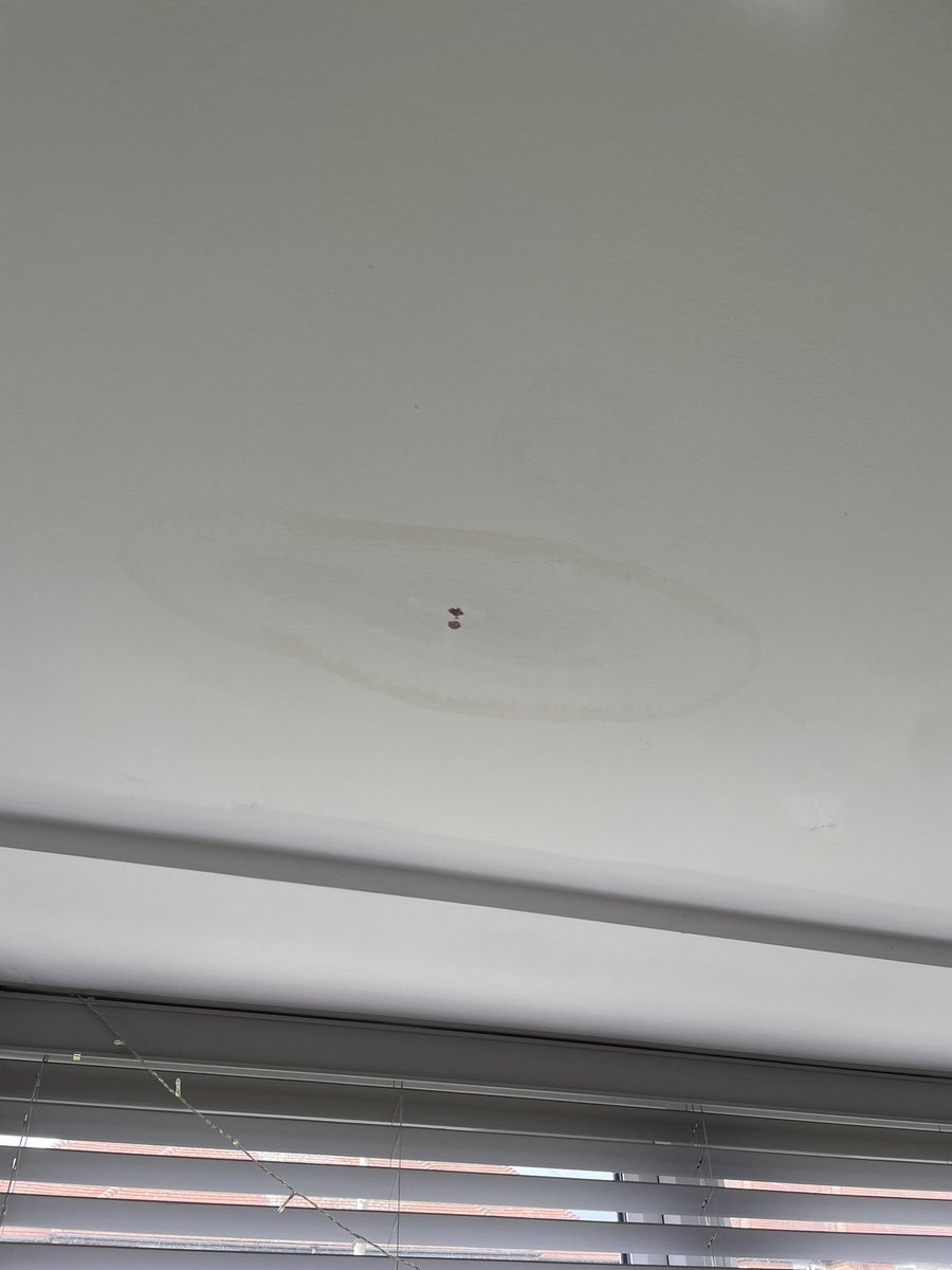 andyhbert's tweet image. That’s another little leak solved. #leakdetection flat roof clearly in a bad way and the salt test to prove it. #leakyroof #plumbing #solved #allinadayswork #leak #timeforabrew