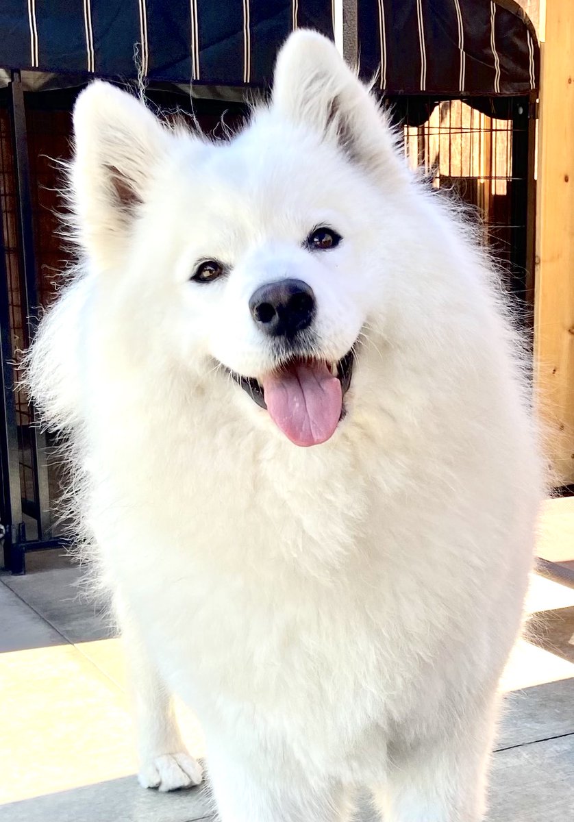 Tina Seelig tweet media