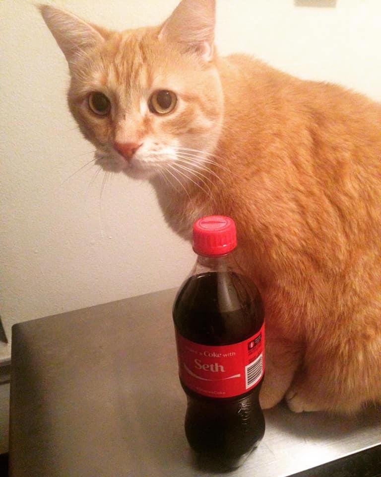 seandps's tweet photo. Three years ago today I had to make the tough decision to say goodbye to Seth #RIPSeth https://t.co/jI9Ol5f3ji