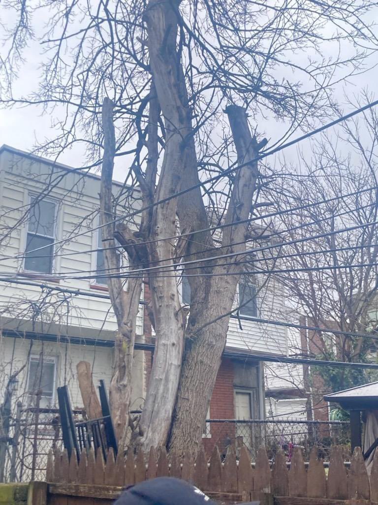 A little rain did not deter my staff &amp; I as we walked Carroll Park to hear constituent issues regarding trash, trees, safety and other concerns.  Thank you to our city partners for joining us and thank you always 4th district neighbors for caring so deeply about our neighborhood.