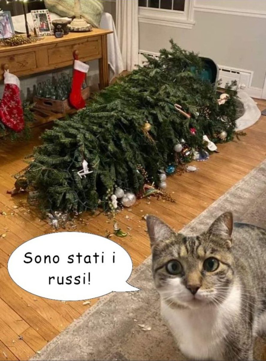 ar973's tweet image. Ormai qualsiasi cosa è #colpa dei #russi 😂😂😂