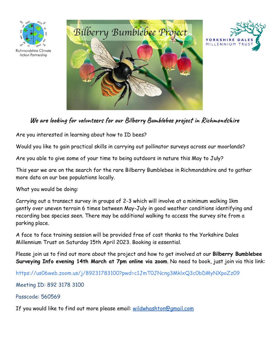 Are you interested in learning how to ID Bees?
🐝
Join @ydmt & Richmondshire Climate Action Partnership as part of their Bilberry Bumblebee Project in #Richmondshire

📅 Zoom Event this evening at 19:00➡️ us06web.zoom.us/j/89231783100?…
🆔Meeting ID: 892 3178 3100
🔐Passcode: 560569