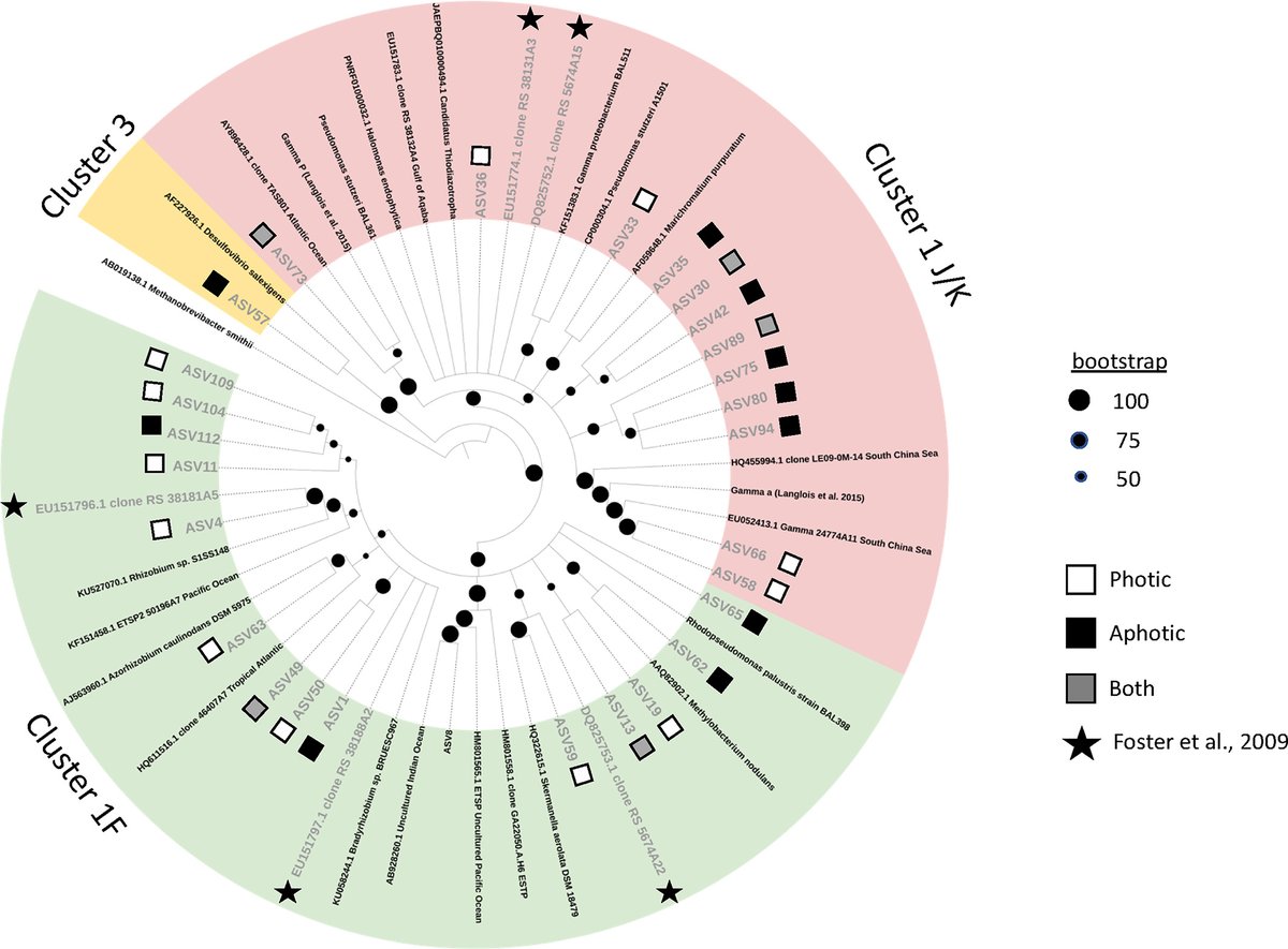 IUI-Eilat tweet media