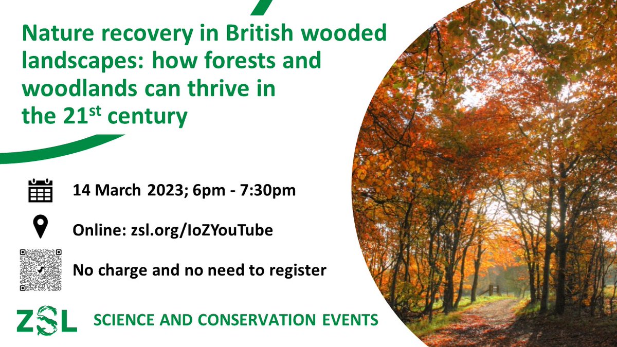 Join us 6pm TODAY at our online #ZSLtalks event to discover what's in store for British wooded landscapes in the 21st century 👀More info: bit.ly/3kyGi1y 📺Live at 6pm: youtube.com/live/z8O9r7ryD… ⁉️Ask your questions: pigeonhole.at/1931 #NatureRecovery #WildIsles