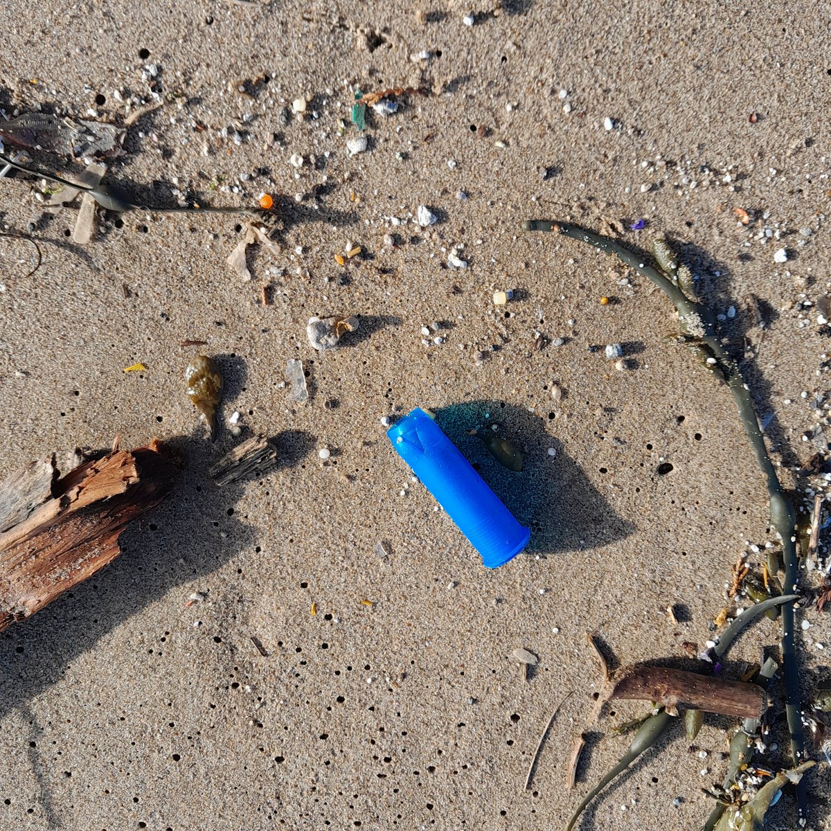 The ocean is now home to over five trillion pieces of plastic, and 24 trillion microplastics. The beach was covered in microplastic this morning and sewage @tampax #sewage #microplastics