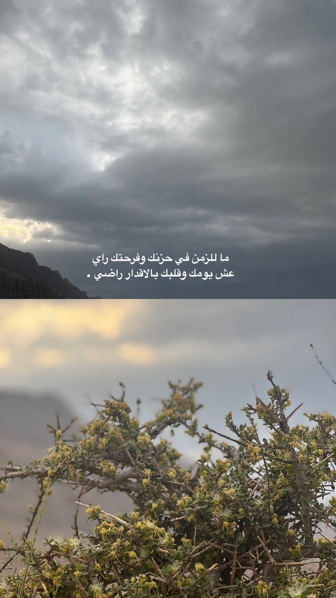 44_albadi's tweet photo. 💙💙 https://t.co/hz17bPbzYs