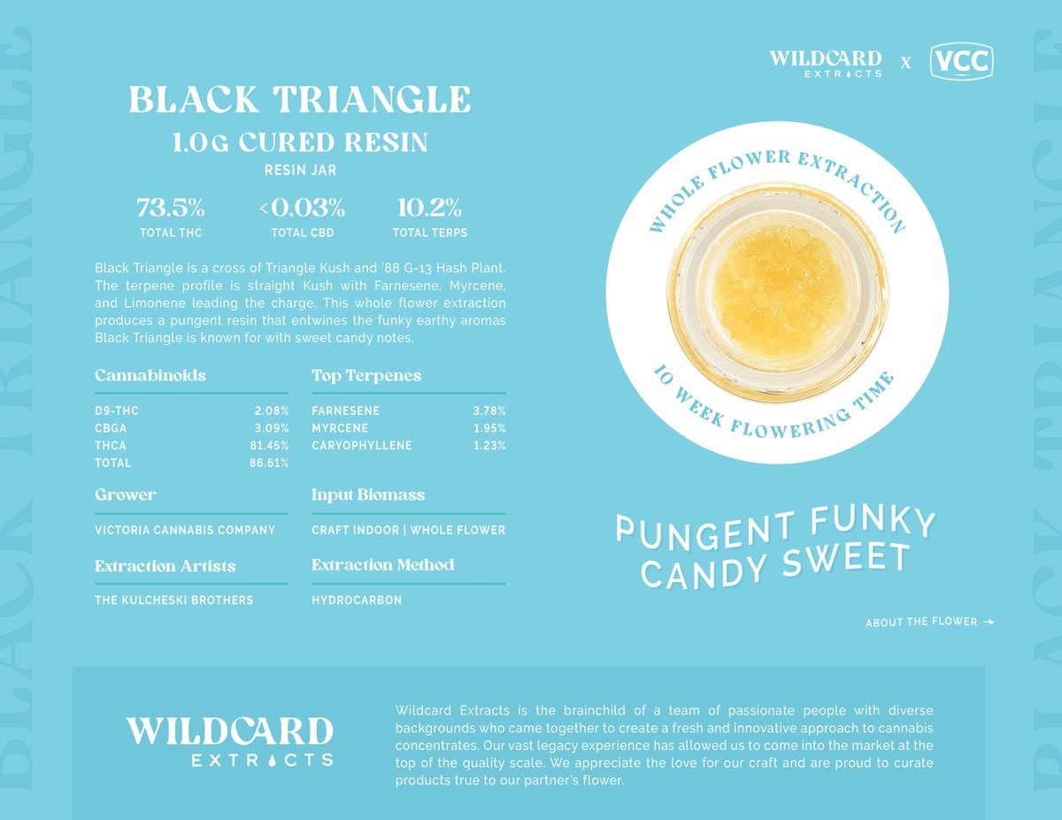 Mouth watering Black Triangle Cured Resin only in B.C. 🤤🤤

<a href="/wildcardextract/">Wildcardextracts</a>