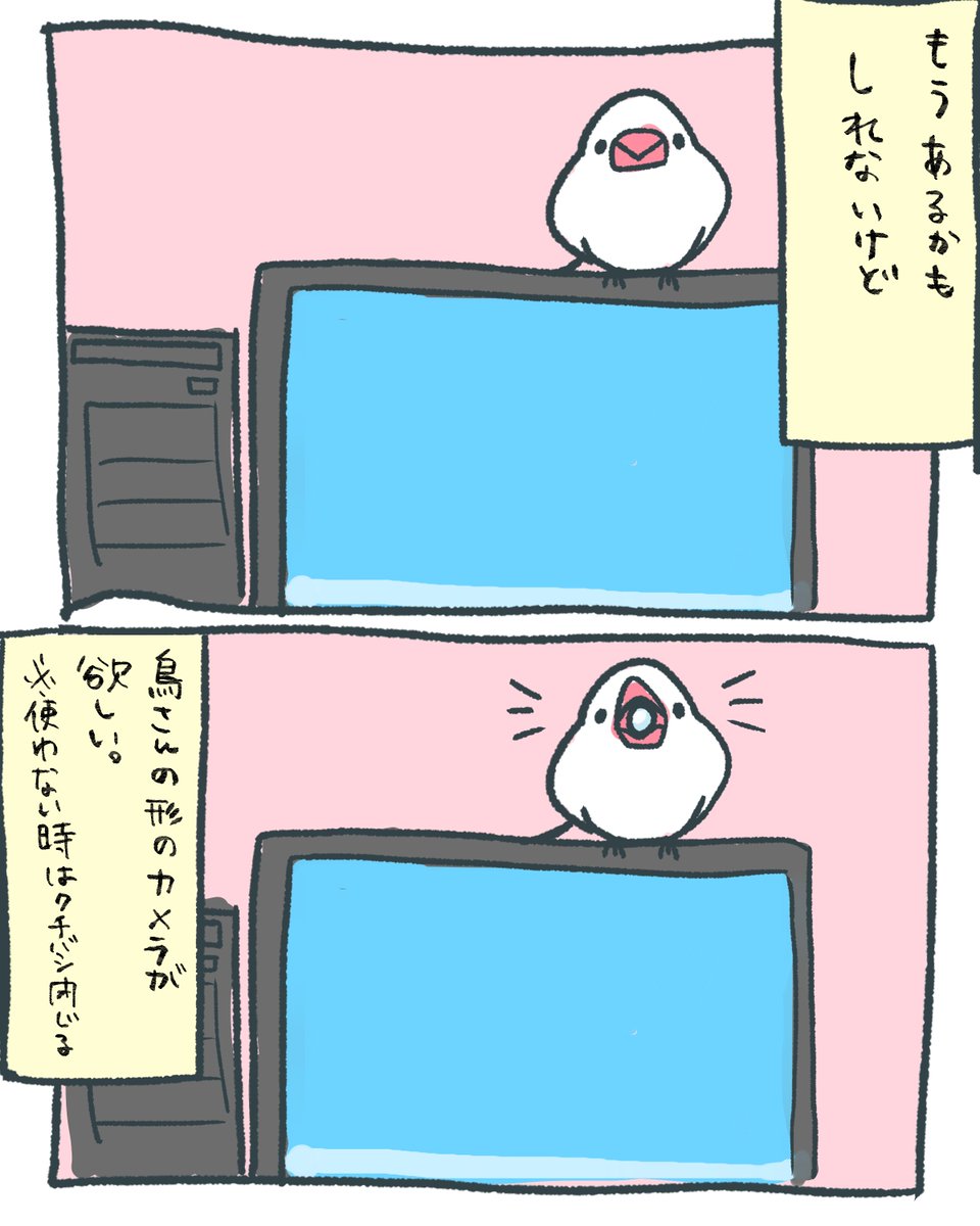 もうあるかもしれないけど
鳥さんの形のカメラが欲しい。 