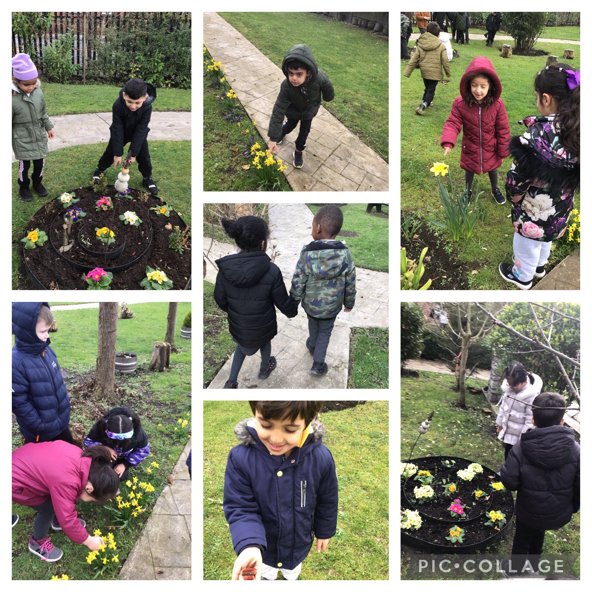 Spotting the first signs of Spring on our walk (with an added bit of hailstone) <a href="/HolyFamilyScie1/">Holy Family Science</a> #seasons #Spring