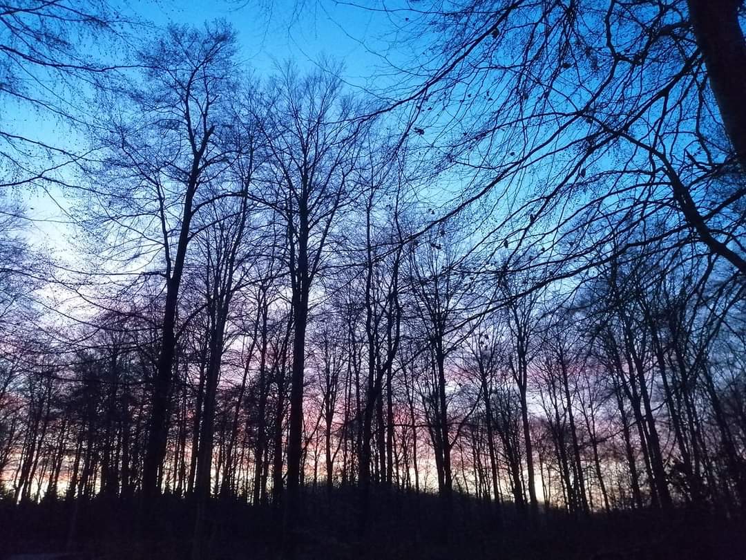 <a href="/fmsahbaz/">Fatih M. Sahbaz 📸</a>