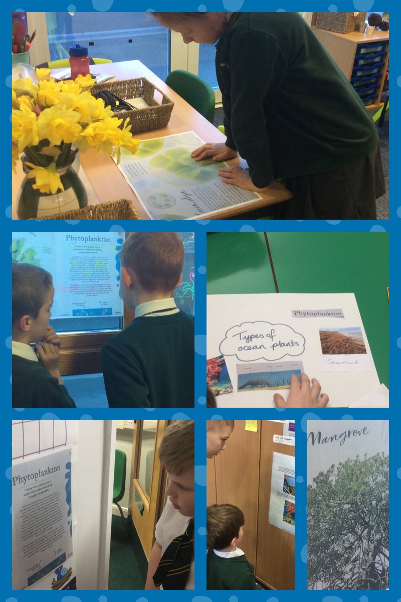 WideySkylarks's tweet photo. Researching into types of marine plants #oceancurriculum https://t.co/qO9znSpQpP