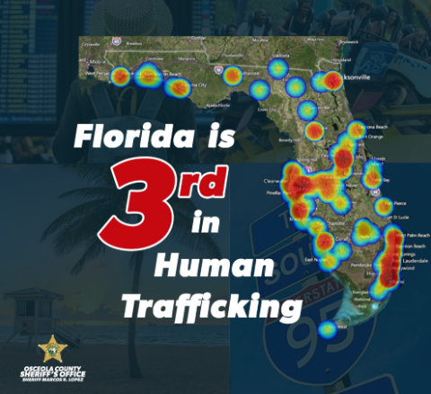 mikewolfpack100's tweet photo. @PTRUMPFORTX2020 -Interesting...-
-Governor Ron DeSantimonious' calls Florida  "The Freedom Blueprint" as he's campaigning across the US.  Tell me this...

Does This Look Like Freedom to You?- https://t.co/RCJkTwWzik