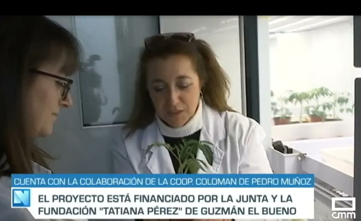 VINOS COLOMAN tweet media