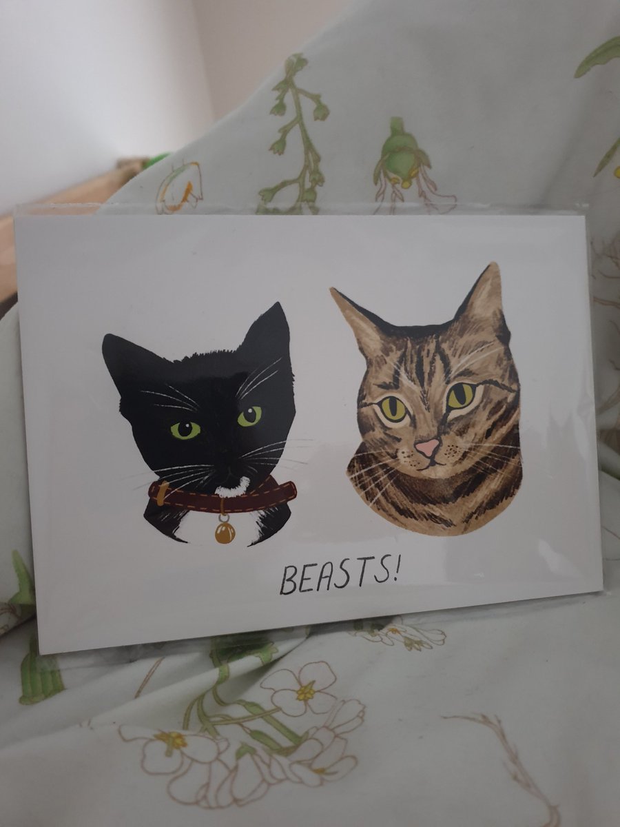 Pet portraits by <a href="/MeganDobbyn/">megdobbyn_illustration</a> continue to be the most delightful possible present for people