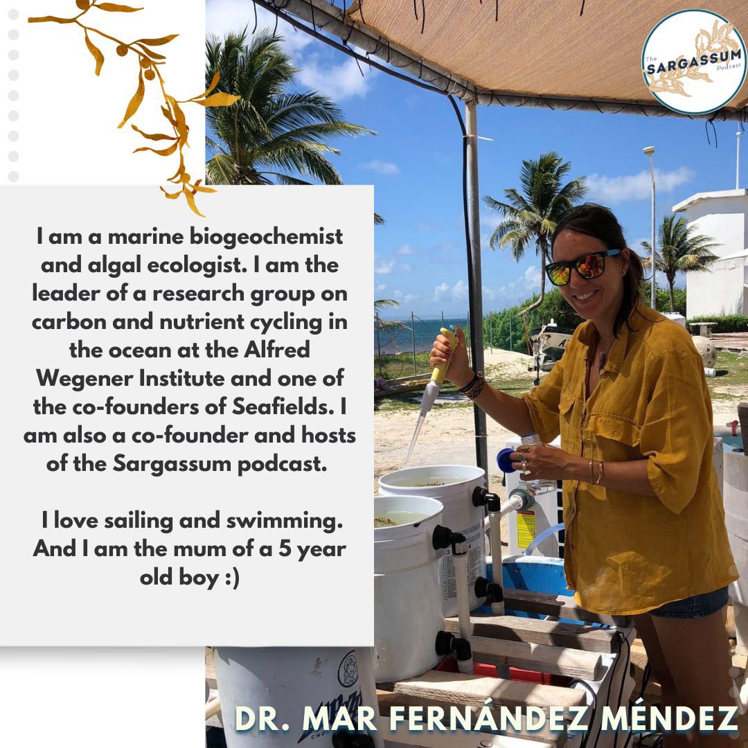 🌸Happy International Women's Day! 🌸

👉 Today, we have Mar Fernández Méndez, our host and Co-Founder of the Sargassum Podcast. 

Thank you for all that you do, Mar Fernández Méndez!

#InternationalWomensDay2023 #SargassumPodcast #Podcast #Sargassum #WomensDay2023