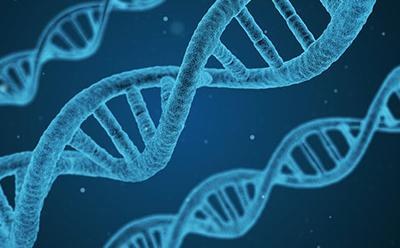 Nuffbioethics's tweet photo. 📖New blog!📖

Our Associate Director, @PeterFRMills, asks ‘Who is science for?’ as he reflects on discussions held at the Third International Summit on #HumanGenomeEditing, which took place last week.

🔗Read here👉https://t.co/yT8Dg5LJor

#bioethics #GeneTherapies #science https://t.co/JeP0GdqBYx