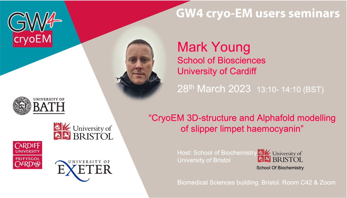 Time for another #GW4cryoEM seminar.

<a href="/mtyster/">Mark Young</a> from <a href="/cardiffuni/">Cardiff University</a> will talk remotely via zoom to <a href="/BristolBiochem/">Bristol Biochemistry</a> to give insights into the slipper limpet haemocyanin using cryoEM and Alphafold 

Don't miss this opportunity to learn more and interact with the cryoEM community!