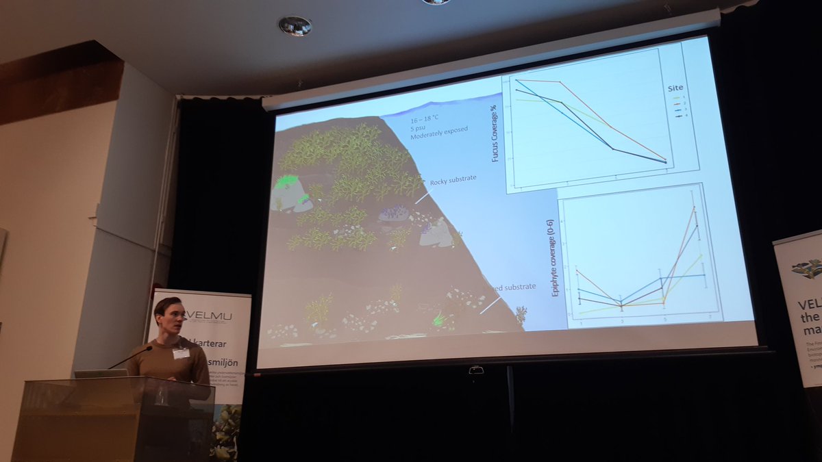 Markku Viitasalo (@viitasalomarkku) on Twitter photo World Premiere for Wiljam Eklund's interesting Master's thesis on invertebrate biodiversity in #Ă…landIslands in #VELMUconference. So good having talented young scientist onboard! <a href="/VELMUohjelma/">VELMUohjelma</a> #MarineBiodiversity #Bladderwrack #BalticSea World Premiere for Wiljam Eklund's interesting Master's thesis on invertebrate biodiversity in #Ă…landIslands in #VELMUconference. So good having talented young scientist onboard! <a href="/VELMUohjelma/">VELMUohjelma</a> #MarineBiodiversity #Bladderwrack #BalticSea