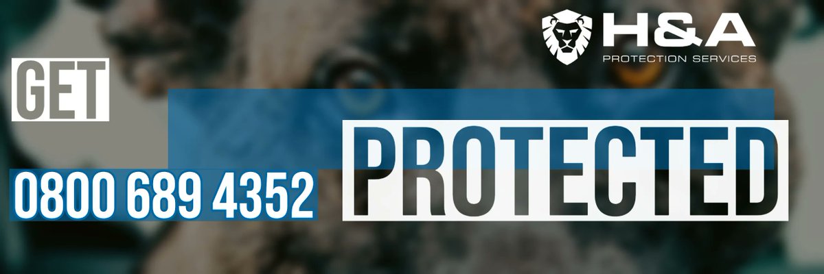 HnAProtection's tweet image. At H&amp;amp;A Protection Services Ltd, we are proud to be an ACS Approved security contractor in accordance with the Private Security Industry Act 2001.

📧 : office@haprotectionservices.co.uk
📞 : 0800 689 4352 

#SIA #ACS #security #approvedcontractor #mannedguarding #keyholding