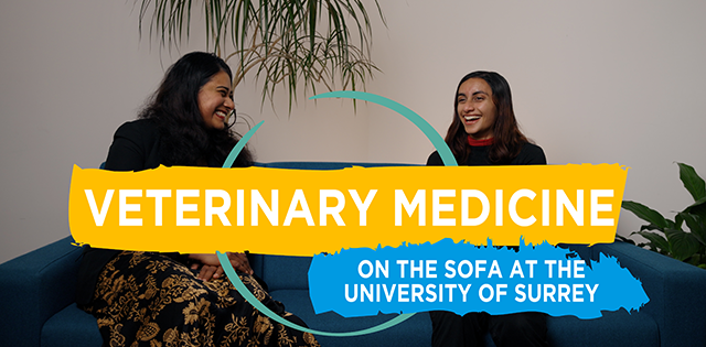 SurreyVet's tweet photo. Our #VeterinaryMedicine students have access to multi-million pound facilities, including our Veterinary Clinical Skills Centre and Pathology Centre, to practise anaesthesia, catheterisation, dissection, perform a necropsy and more.

Find out more  | https://t.co/lfLvkSTxrT https://t.co/nBBjMkLCOQ