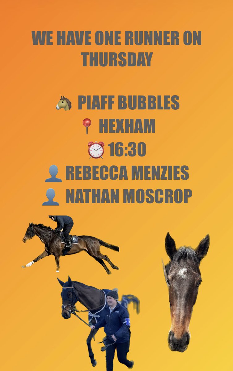 We have the @RebeccaEMenzies trained Piaff Bubbles declared for @HexhamRaces on Thursday, @nathanmoscrop rides.